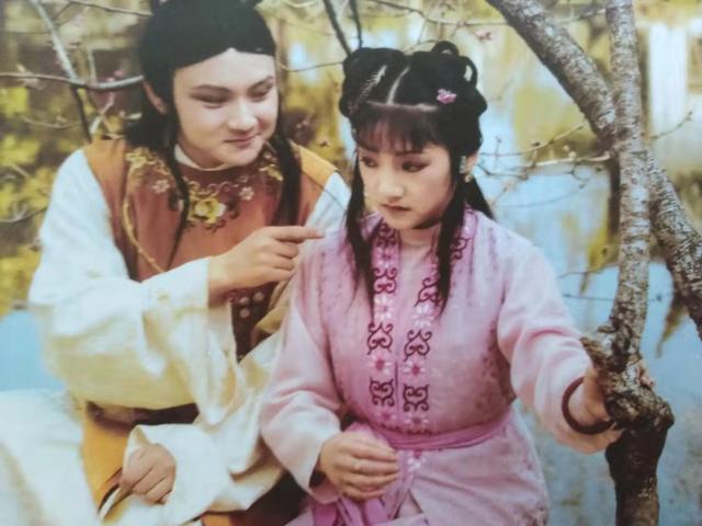 紫鹃：林姑娘，趁老太太还硬朗，你和宝玉的婚事早点拿主意要紧