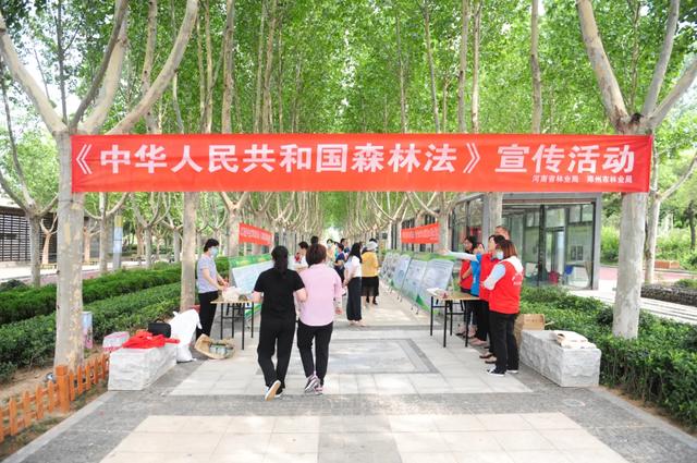宣传新修订的森林法，践行绿水青山就是金山银山理念
