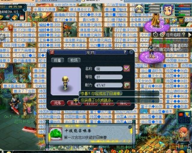 梦幻西游：失败后再战翻身，10技能护盾宠好像哪里不对？