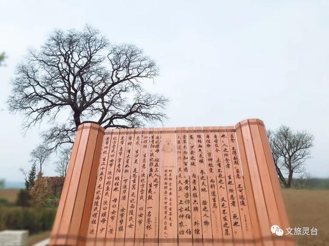 相约灵台旅游示范村！
