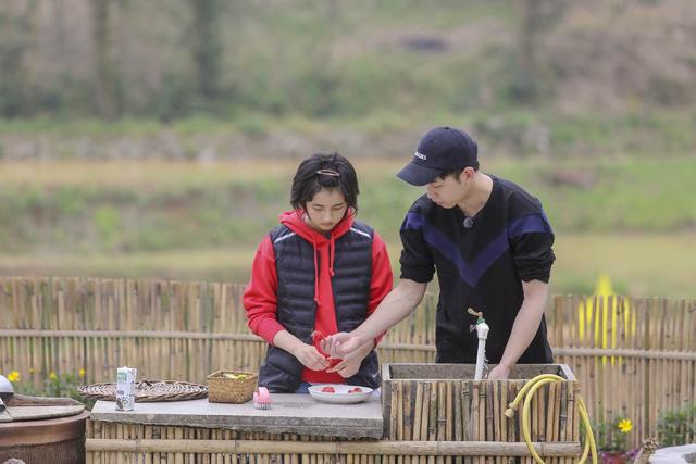 太危险！彭昱畅砍椰子镰刀脱落，何炅黄磊在下面发笑受质疑