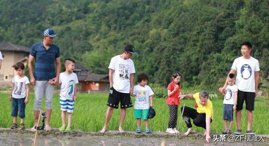 被“强制下架”的综艺，不信你都没看，其中它