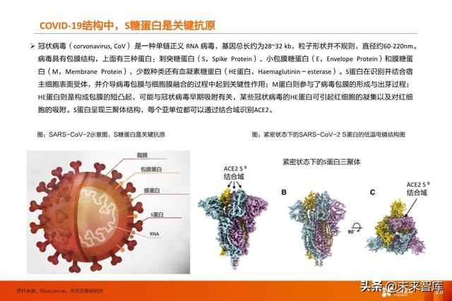 疫苗行业深度报告：新冠疫苗谁将拔得头筹