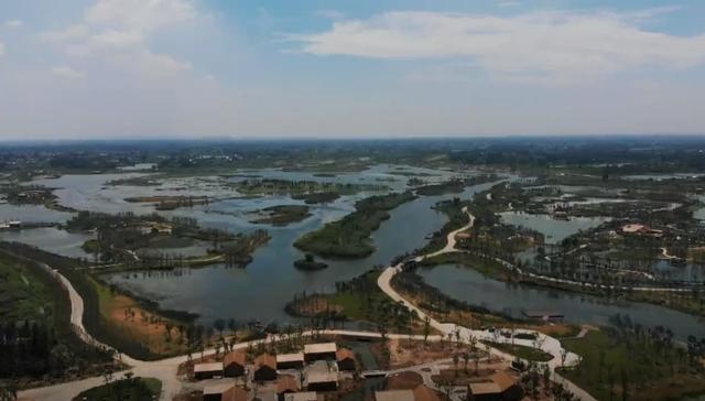 水凤凰首次入驻扬州北湖湿地公园 喜诞4只小宝宝