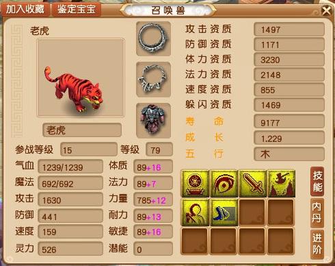 梦幻西游：6技能双特殊，成都府现全服第一老虎，王谢都没有