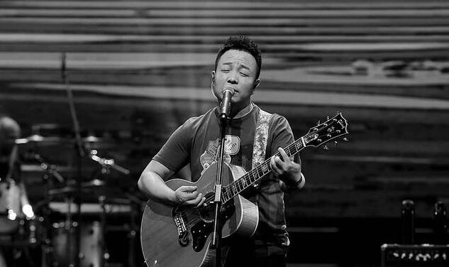 哪些内地男歌手代表作超过了十首？除了刘欢、汪峰，还有谁？