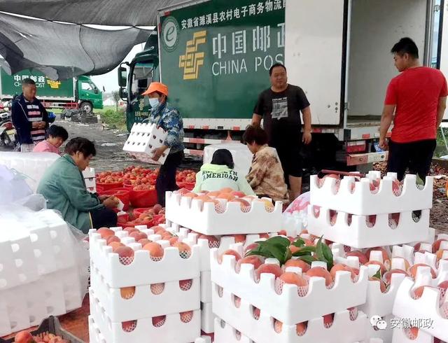 濉溪邮政让黄金蜜桃成“黄金”