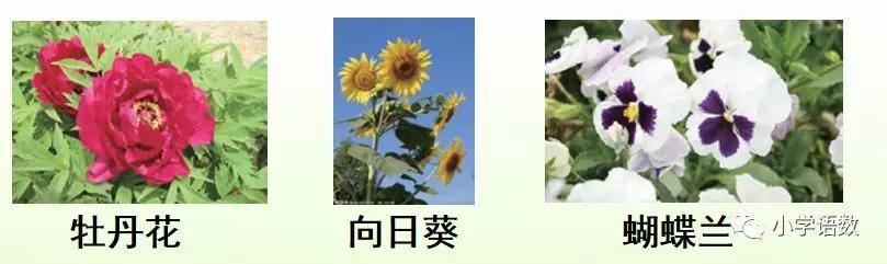 花钟生字拼音组词小练笔及课时练习