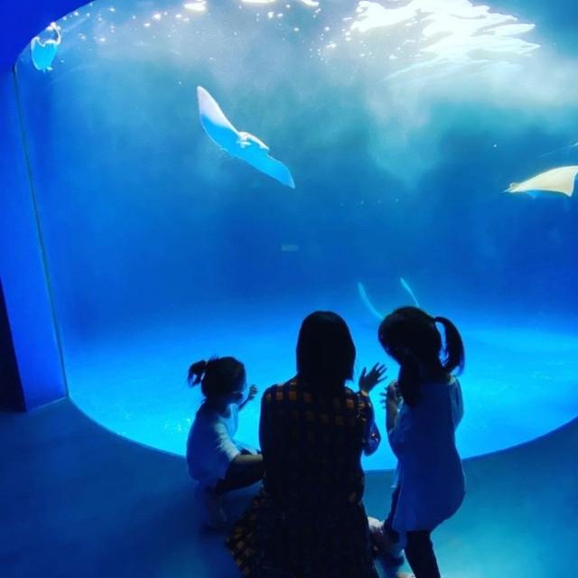 修杰楷晒波妞撒娇照，见姐姐与妈妈亲吻，双手紧搂贾静雯争宠萌翻