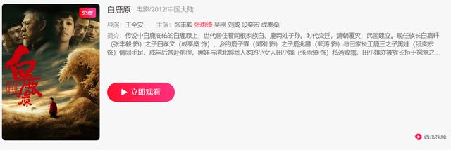 张雨绮年轻时有多美？自曝9岁被叫“狐狸精”，