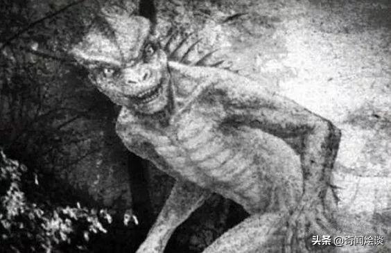 盘点世界七大畸形生物！双头猫、蜥蜴人、双嘴