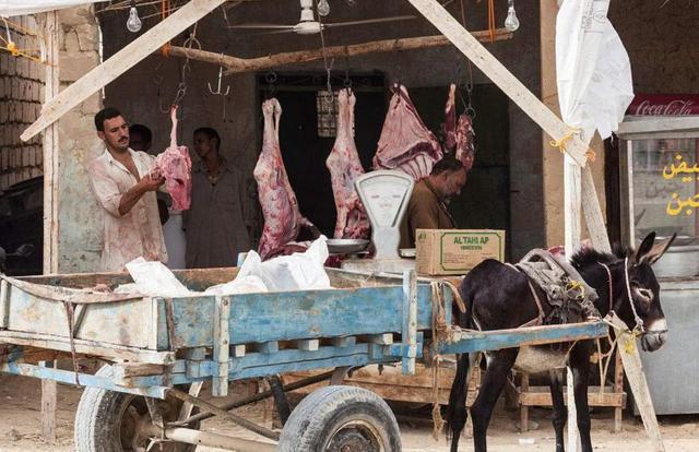 印度人不吃猪肉和牛肉，连鱼肉都十分挑剔，那他们究竟吃什么肉