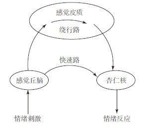 父母控制不住情绪总想“吼”？3招化解情绪毒药，学会温柔育儿