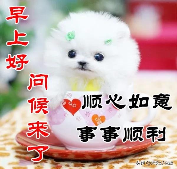 清晨|最美最暖心的清晨问候祝福语短信，很入心的早安祝福文字表情图片