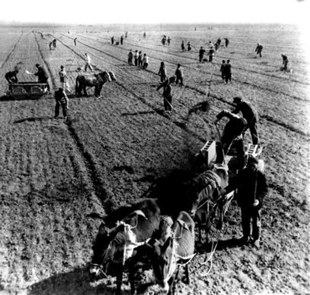 “专家”强行让老农上交祖传宝刀，表扬奖励10元，自己转手拿去卖