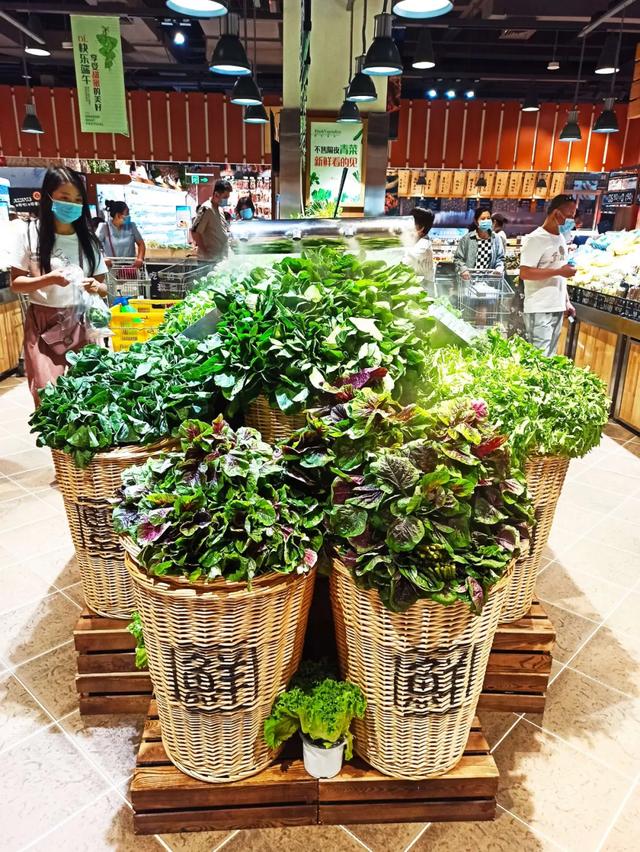 �ֶ������ʿγ���һ�죬ϸ�µĹ����������ֶ���Ϊʲô��ô��