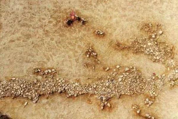 南水北调挖出“巨龙”，距今已超6000年，龙真的只是传说吗？