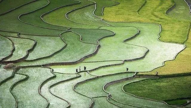 八月|七月，再见！八月，你好！祝你岁月无波澜，敬我余生不悲欢
