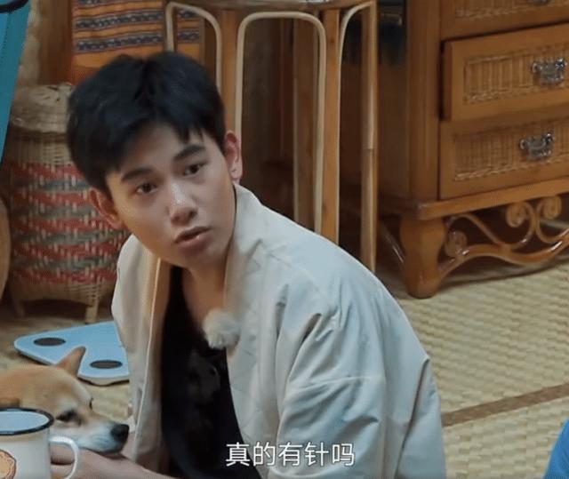 张子枫“妈妈”去蘑菇屋做客，随身带的物品，