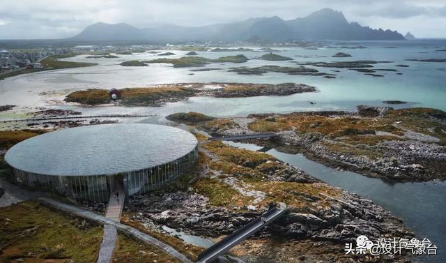 BIG惜败！再牛的方案也比不过一头鲸