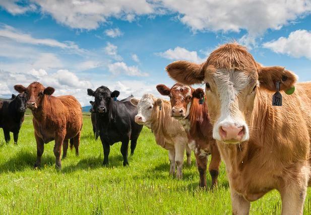 古代的十二个时辰分别代表了什么？看了才知道古人真是不简单