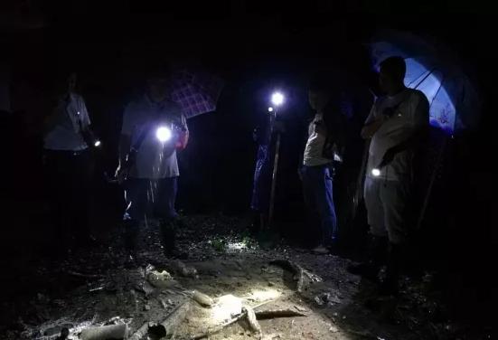 湖北武穴龙坪镇游铁兵：才下湖堤，又上江堤，日夜鏖战不停蹄