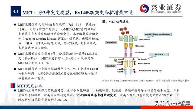 肺癌专题报告：序贯靶向治疗是核心，免疫联合治疗是新常态