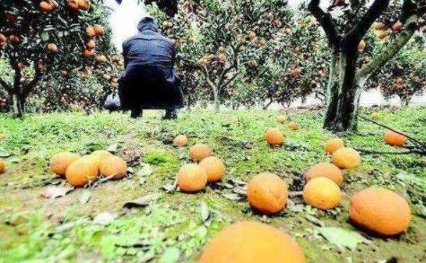 越南有点慌了？特产堆积无法卖出，无奈之下请