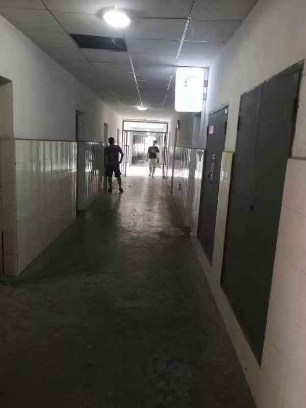 揭秘奇速英语千人夏令营在线网课真实教学课堂