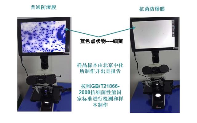 安可防爆膜知识课堂：隐藏的浴室细菌