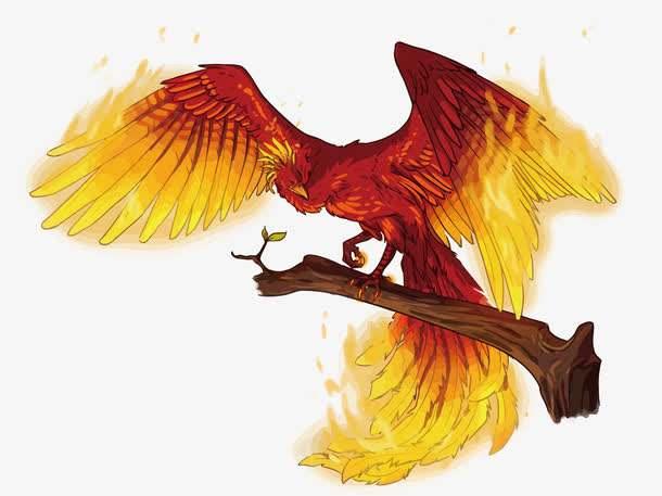 传说中的“朱雀”现身云南，被誉为世界上“最