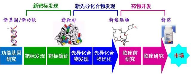 抗新冠药物及疫苗的研究进展