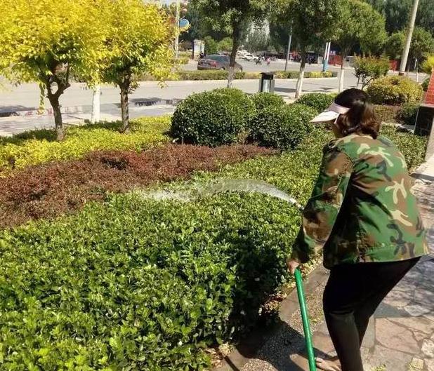 河北磁縣城管：“接招”解民生難題 服務城市管理