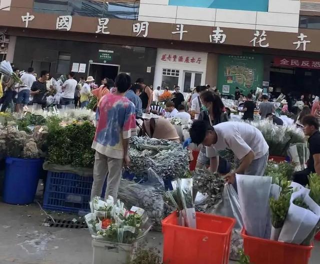 一束鲜花的进城之路：98天后，30%鲜花凋谢在路上