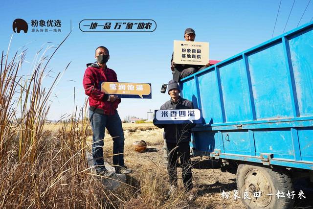 “粉象良田，一粒好米” 粉象生活助力肇源好米
