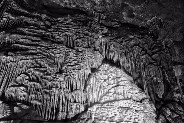 「山里」贵州回应山里有龙吟 专家说出真相让人大跌眼镜