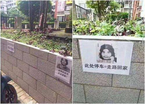 窃•格瓦拉说出那些“金句”是抱着什么样的心态？一般人理解不了