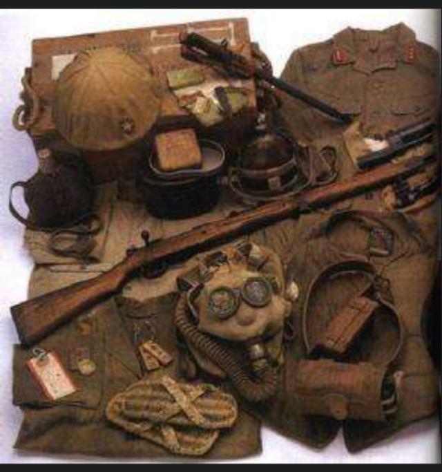 军史学家评价这次战役是日本历史上陆战中遭到