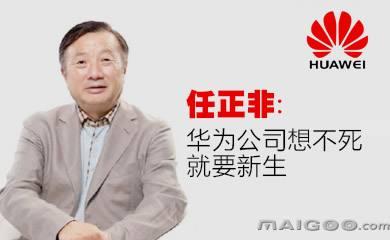 华为标志的灵感，任正非给出来不一样的解释，网友直呼：有内涵