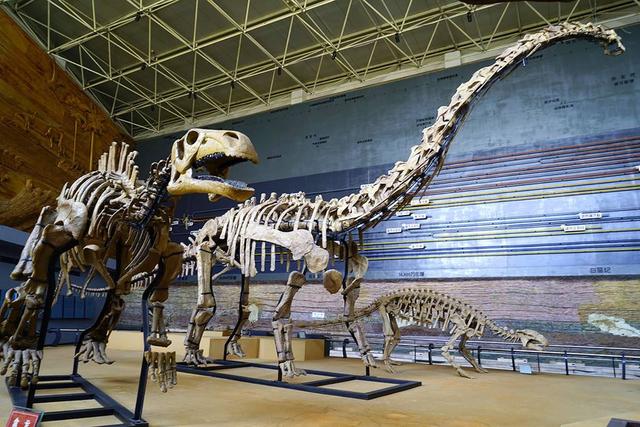 人类消失6500万年后，新文明会发现我们这些“恐人”吗？