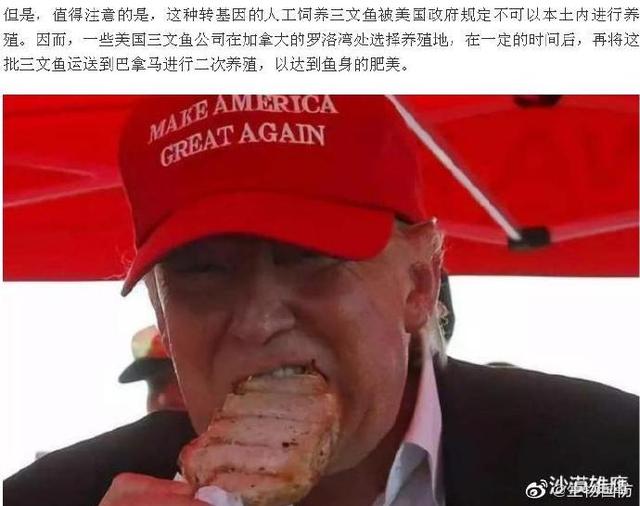 美国转基因三文鱼: 不能生育, 不准在美国养殖