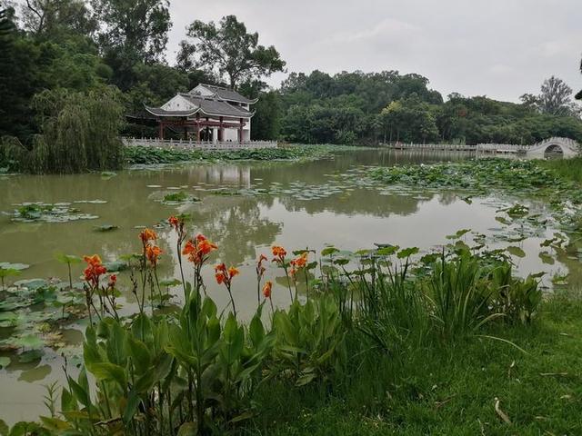 夏天来了，到南宁市里的这个天然氧吧，走花路