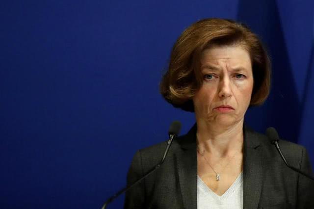 法国防长：“戴高乐”号航母指挥官在应对第一