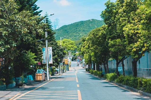 人均500元！这座有海有羊有草原的小城，随手一拍尽显异国风情