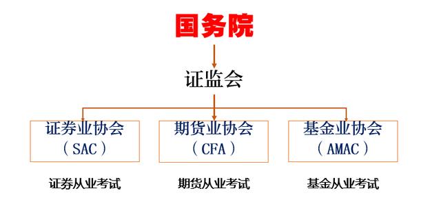 金融行业职位众多，为什么我要你选择证券行业？