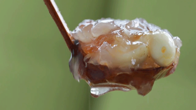 ��������ֻ�����С�������ѹֳ����٣�1������20���Ӿͽ�������