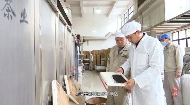 “武阳春雨”飘香“国际茶日”武义县长喊你来