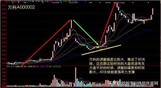 做精一只股，20%资金介入，下跌10%抛，涨20%加仓