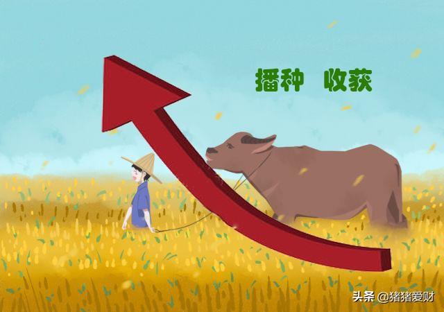 投资亏损秘笈，你中没中？