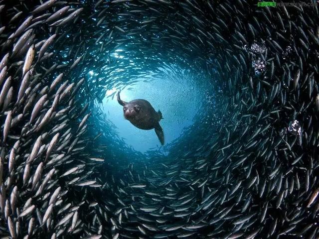 668km史上最长续航特斯拉只要33.9万！